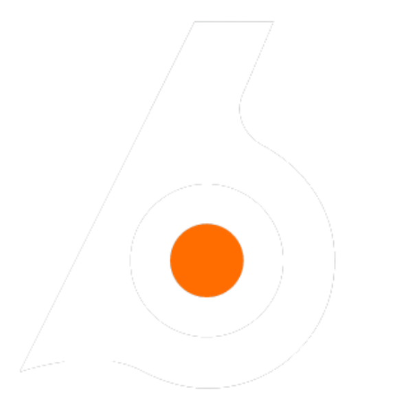 Birdeye